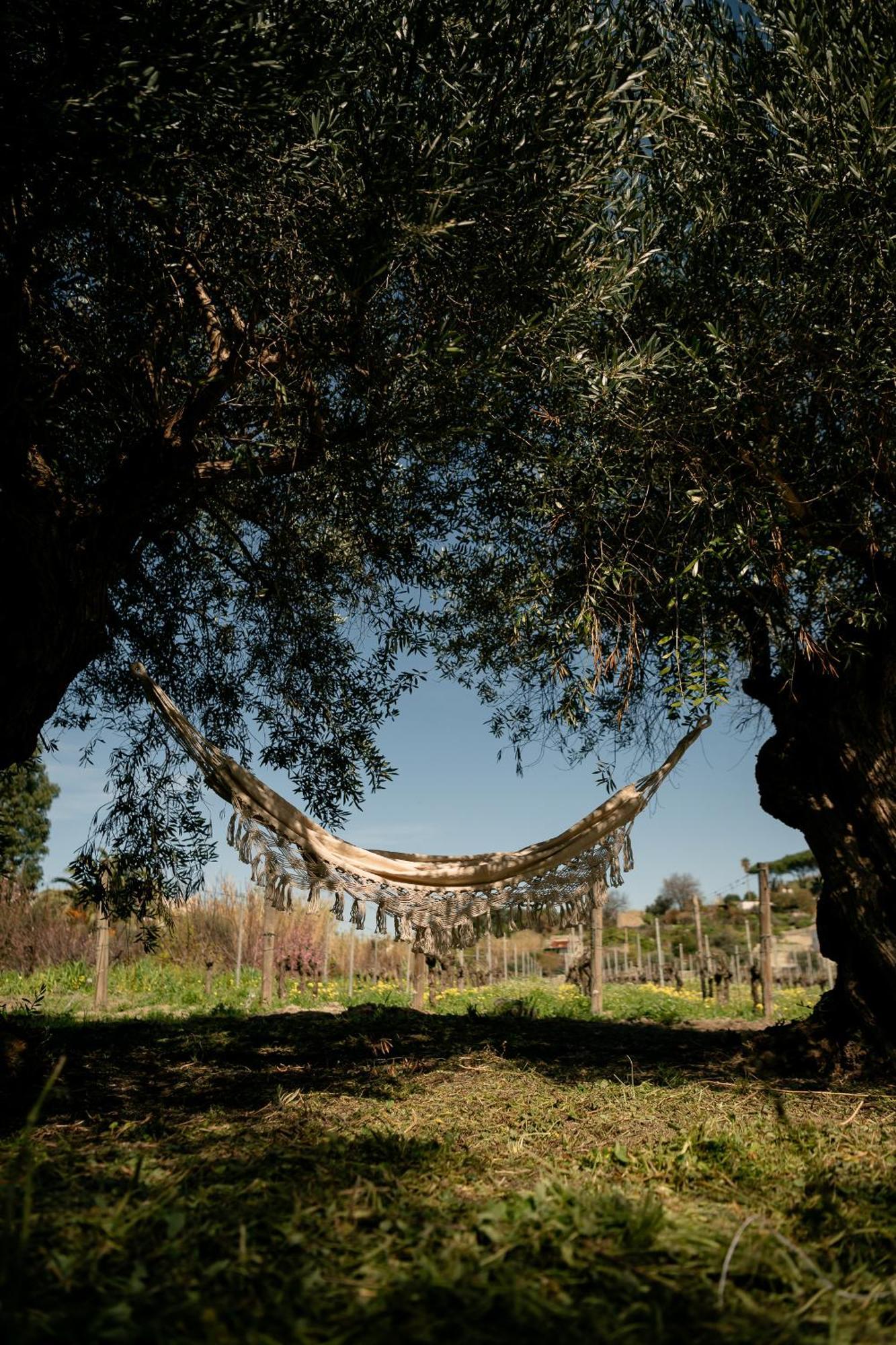 Tenuta Calitto Wine Resort E Spa Искья Экстерьер фото